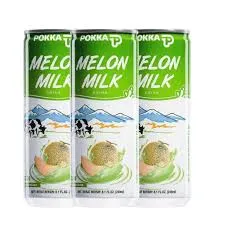 POKKA MELON MILK 240ML