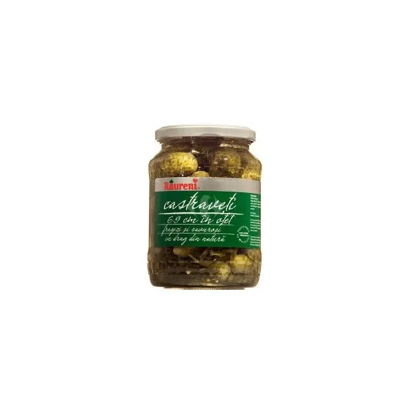 RAURENI CASTRAVETI IN OTET 680G