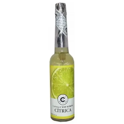 AGUA CITRICA 221ML