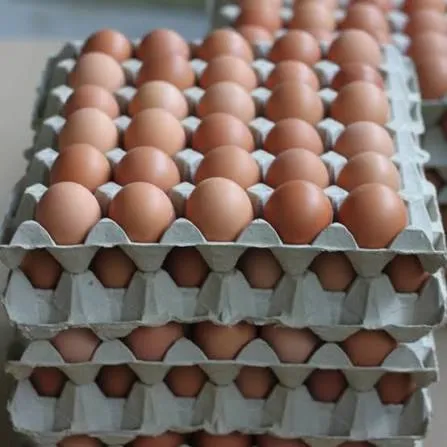 UOVA ROSSO 30PC