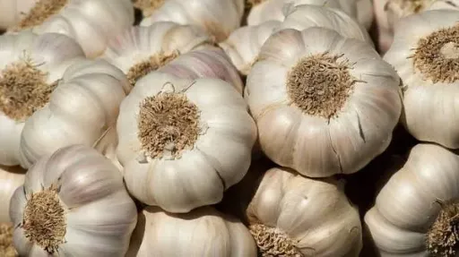 AGLIO 500GM